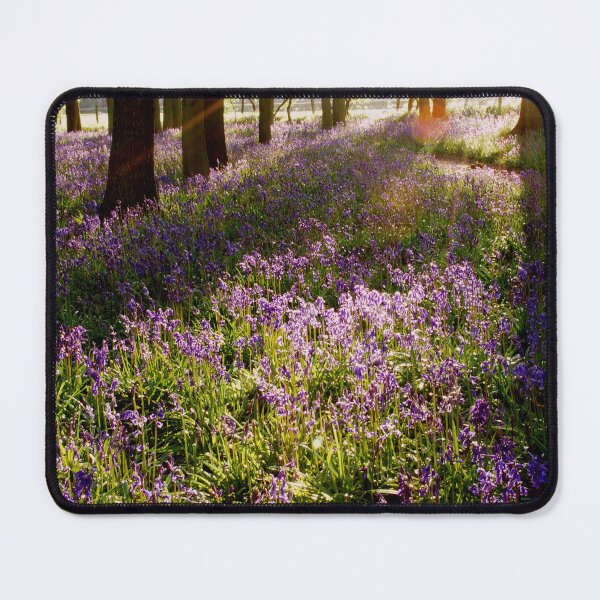 Item preview, Bluebell Woods at Sunset designed and sold by Mark Greenwood.