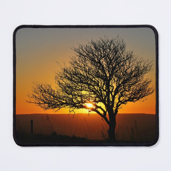 Item preview, Tree Silhouette at Sunset designed and sold by Mark Greenwood.