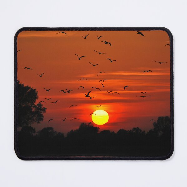 Item preview, Evening Over Treetops designed and sold by Mark Greenwood.