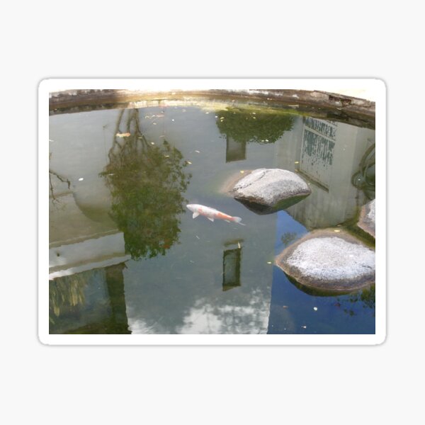 Pool with reflections Sticker