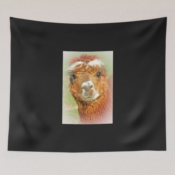 Item preview, Llama or Alpaca? designed and sold by JoyPhotoArt.