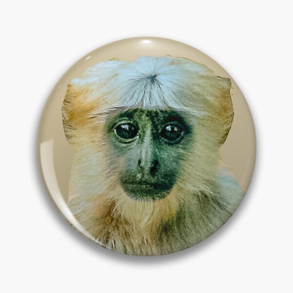 Item preview, High 5 from a baby Langur monkey designed and sold by Dalyndigital Photography.