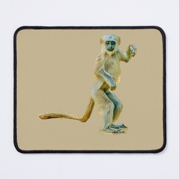 Item preview, High 5 from a baby Langur monkey designed and sold by Dalyndigital Photography.