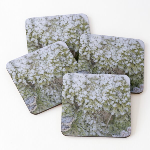Item preview, Whitefrost designed and sold by Calidris Fotografie Steffi & Ben Köppler.
