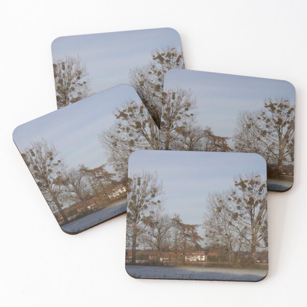 Item preview, Poplars designed and sold by Calidris Fotografie Steffi & Ben Köppler.