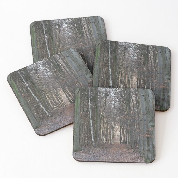Item preview, Forest Path designed and sold by Calidris Fotografie Steffi & Ben Köppler.