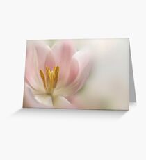 Touch of Pink Greeting Card