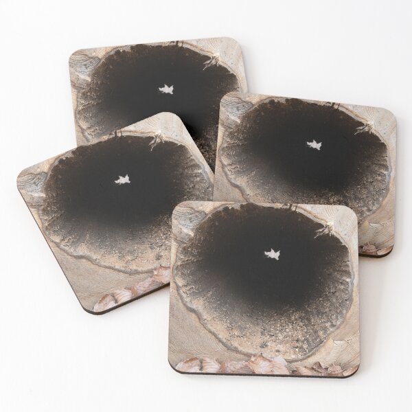 Item preview, Tree trunk designed and sold by Calidris Fotografie Steffi & Ben Köppler.
