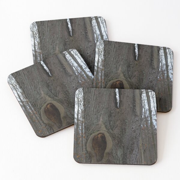 Item preview, Hole in a Tree designed and sold by Calidris Fotografie Steffi & Ben Köppler.