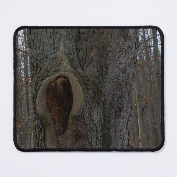 Item preview, Hole in a Tree designed and sold by Calidris Fotografie Steffi & Ben Köppler.