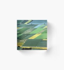 Field Art Acrylic Block