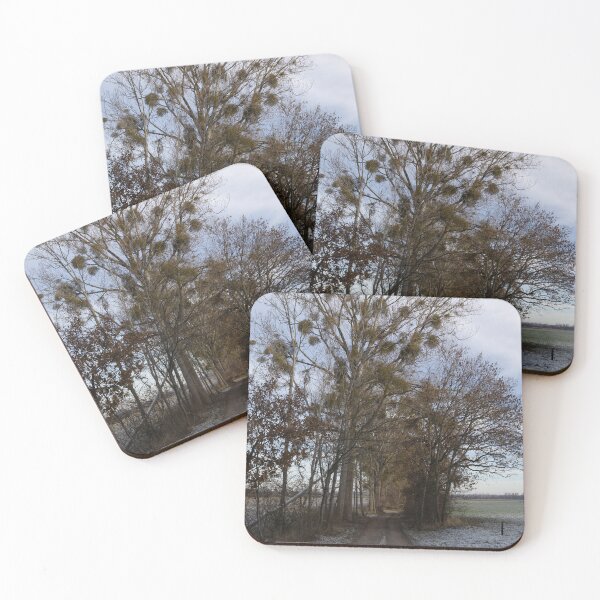 Item preview, Mistletoe designed and sold by Calidris Fotografie Steffi & Ben Köppler.