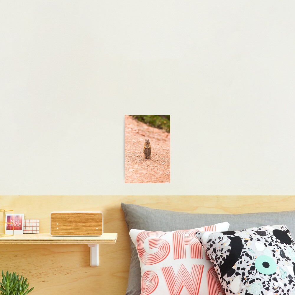 Item preview, Photographic Print designed and sold by jenkiss.