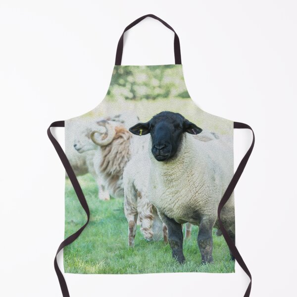 Item preview, Suffolk Sheep Watercolour Photograph designed and sold by Jane Stanley Photography.