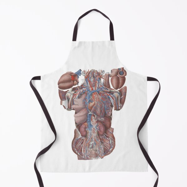 Item preview, Illustration of Human Viscera, 'Exploded Thorax', Paolo Mascagni designed and sold by stblecntainment.