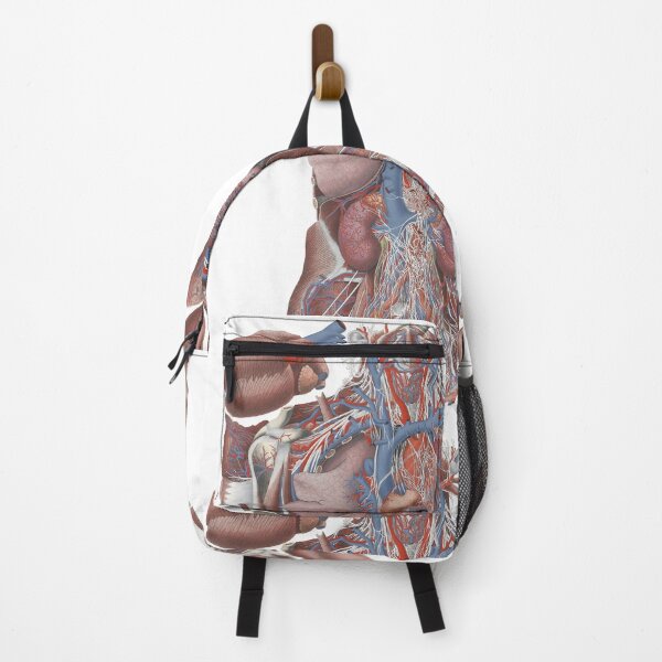 Item preview, Illustration of Human Viscera, 'Exploded Thorax', Paolo Mascagni designed and sold by stblecntainment.