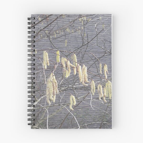 Item preview, Catkins designed and sold by Robert Elfferich.