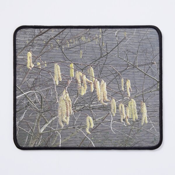 Item preview, Catkins designed and sold by Robert Elfferich.