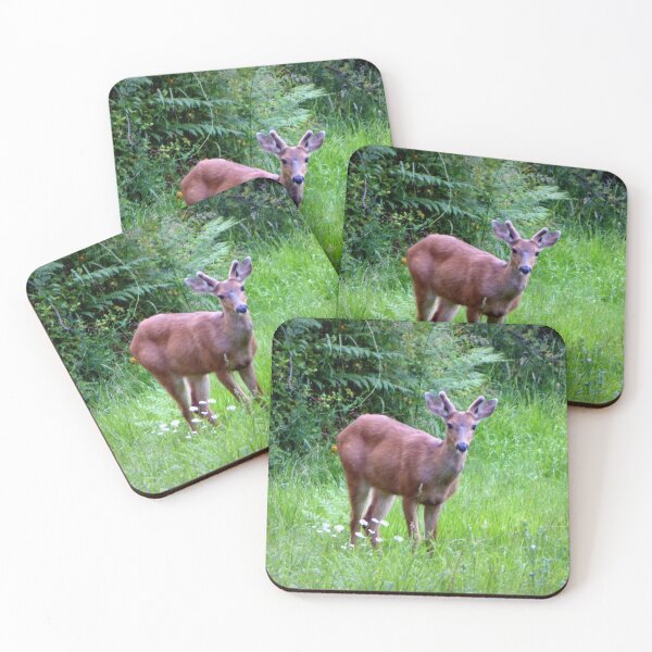 Item preview, A YOUNG BUCK designed and sold by Elaine Bawden.