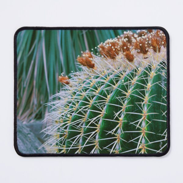 Item preview, Prickly Friend designed and sold by Maya Gregg.
