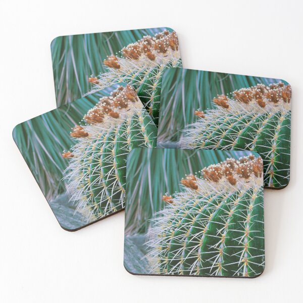 Item preview, Prickly Friend  designed and sold by Maya Gregg.