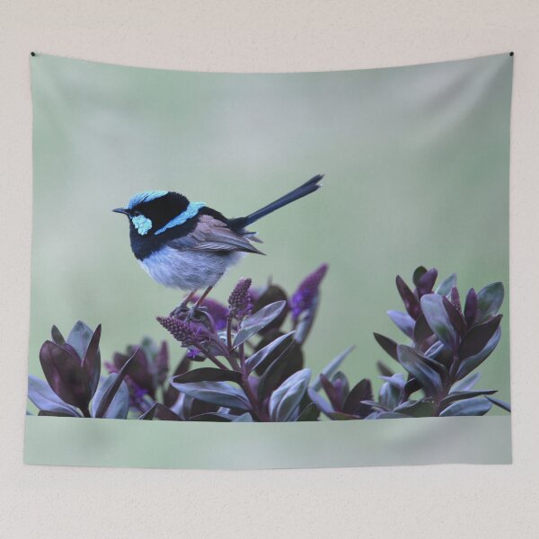 Item preview, Little Blue Wren designed and sold by imaginethis.