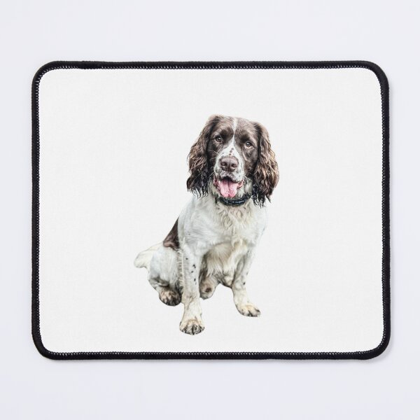 Item preview, Springer Spaniel designed and sold by Anthony Hiorns.