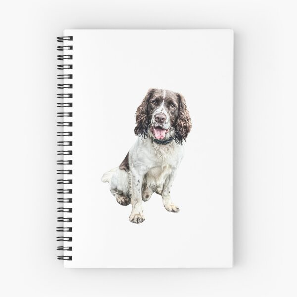 Item preview, Springer Spaniel designed and sold by Anthony Hiorns.