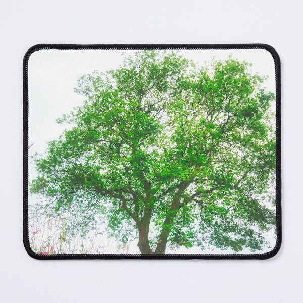 Item preview, Dream Green Plane Tree designed and sold by Marco Sales.