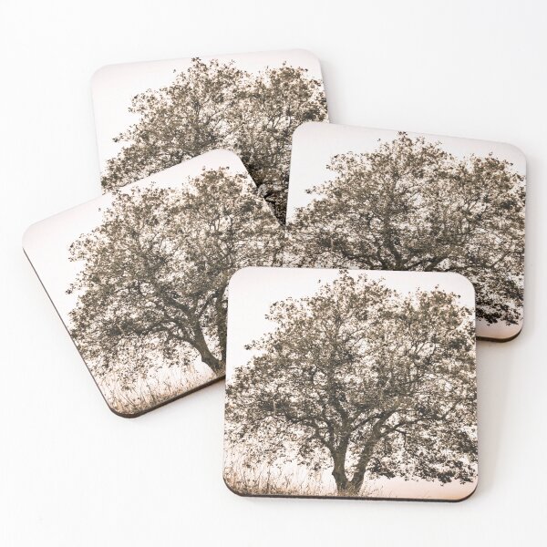 Item preview, Black Dream Plane Tree designed and sold by Marco Sales.