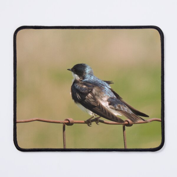 Item preview, Bird of a Feather designed and sold by Bridget Swanson.