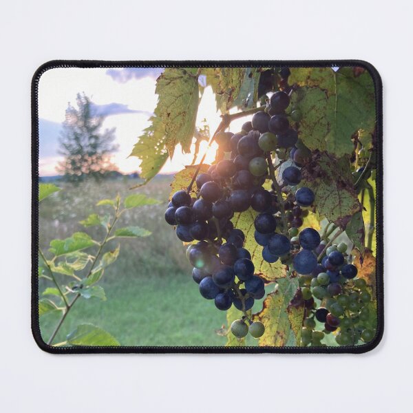 Item preview, Grapevines at Sunset designed and sold by Bridget Swanson.