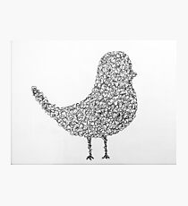 Wire Bird Photographic Print