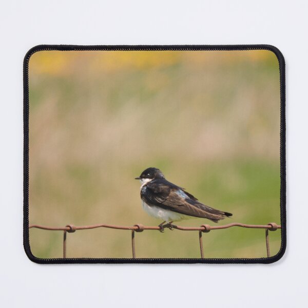 Item preview, Tree Swallow designed and sold by Bridget Swanson.