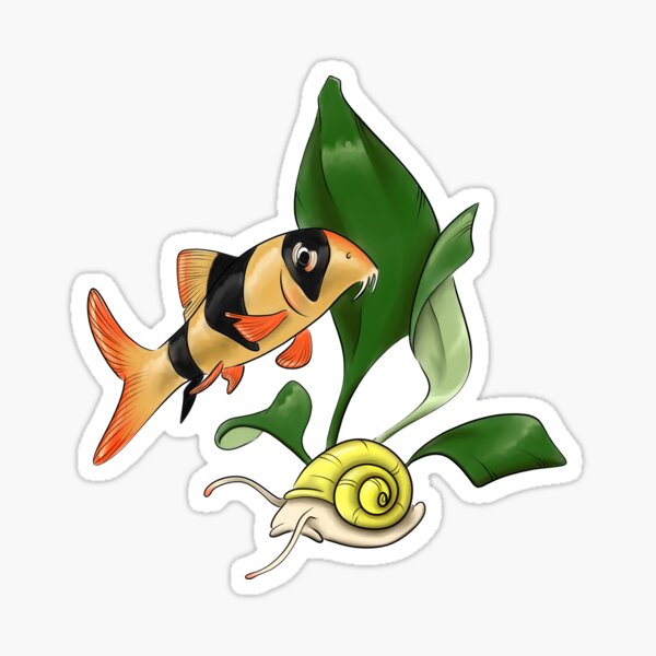 Clown Loach Sticker