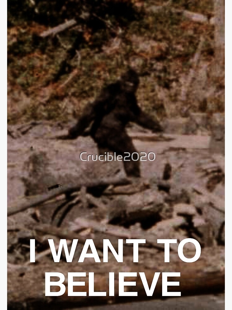 "Bigfoot I Want To Believe" Photographic Print For Sale By Crucible2020 ...