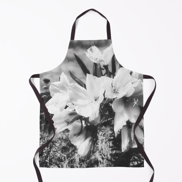 Item preview, Hookers Evening Primrose Flowering designed and sold by Marco Sales.