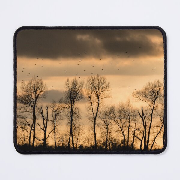 Item preview, Brids Above The Trees designed and sold by Mark Greenwood.