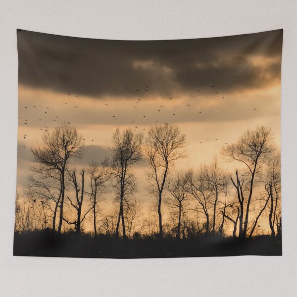Item preview, Brids Above The Trees designed and sold by Mark Greenwood.