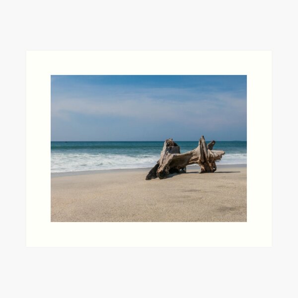 Large driftwood sculpture on beach, Montezuma, Ecuador Art Print