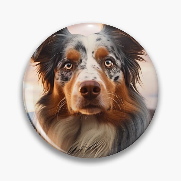 Item preview, Cute australian shepherd dog breed photography at sunset, aussie shepard designed and sold by NBSStore.
