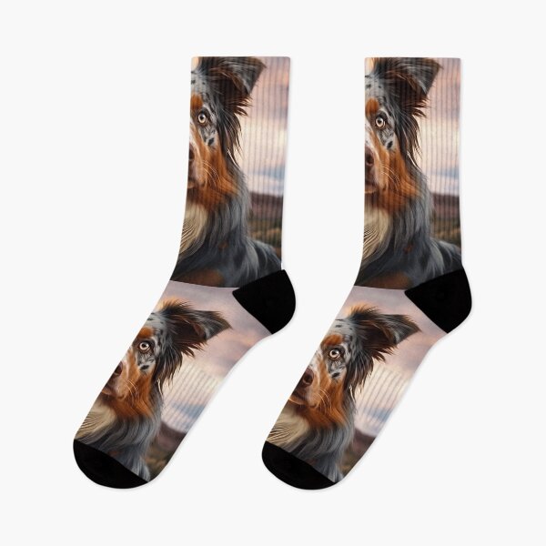 Item preview, Cute australian shepherd dog breed photography at sunset, aussie shepard designed and sold by NBSStore.