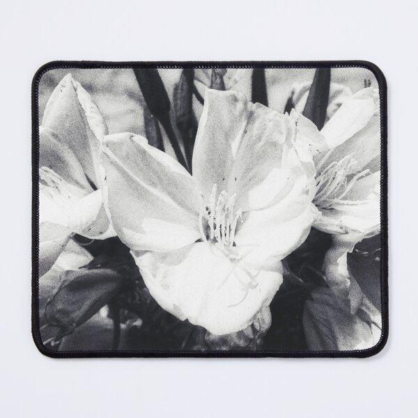 Item preview, Hookers Evening Primrose Blossom designed and sold by Marco Sales.