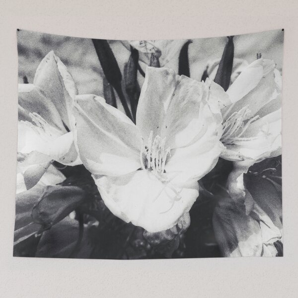 Item preview, Hookers Evening Primrose Blossom designed and sold by Marco Sales.