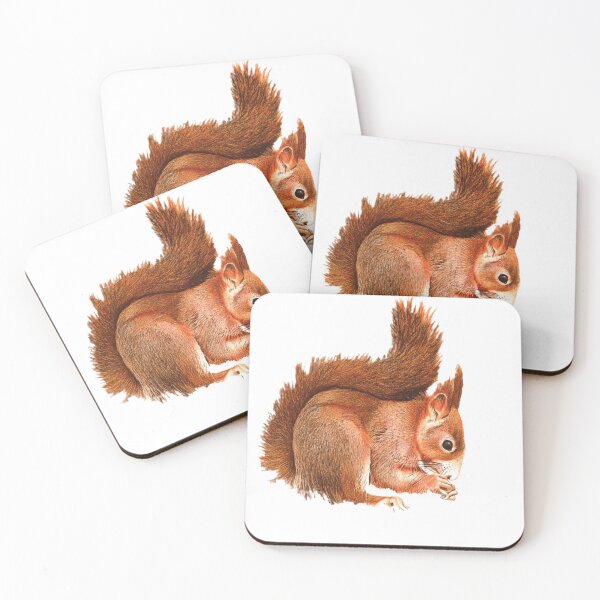 Item preview, Squirrel Devotion Activity, intelligence, confidence, flexibility, caution, beauty designed and sold by Design  world.