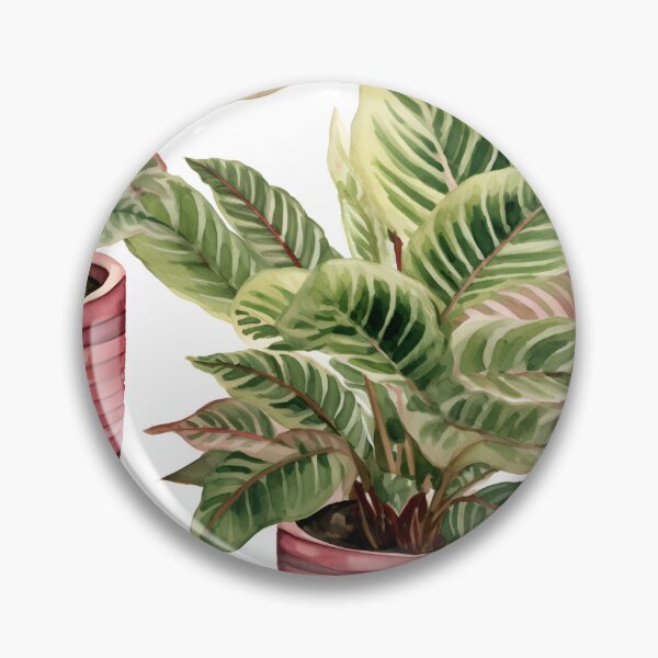 Item preview, Maranta leuconeura designed and sold by Sp3ctrumOfColor.