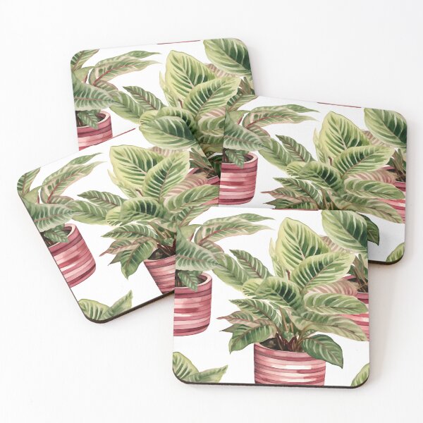 Item preview, Maranta leuconeura designed and sold by Sp3ctrumOfColor.