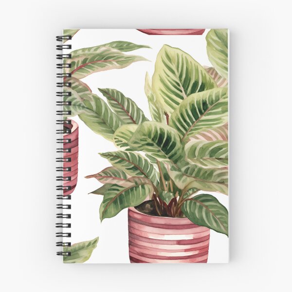 Item preview, Maranta leuconeura designed and sold by Sp3ctrumOfColor.