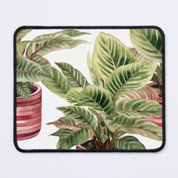Item preview, Maranta leuconeura designed and sold by Sp3ctrumOfColor.
