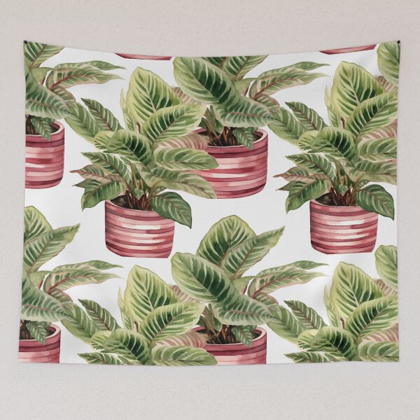 Item preview, Maranta leuconeura designed and sold by Sp3ctrumOfColor.